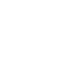 FOCUS-PINTS